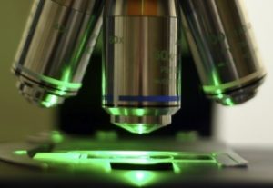 Newsletter: Live-Cell 3D Imaging with Fluorescence Nanoscopy