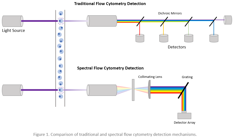 Newsletter Dyes for Spectral Analyzers FluoroFinder