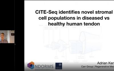 CITE-Seq Identifies Novel Stromal Cell Populations in Diseased Versus Healthy Human Tendon