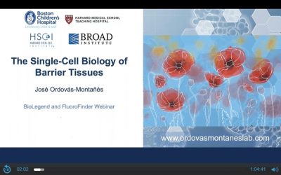Single-Cell Biology of Barrier Tissues and COVID-19