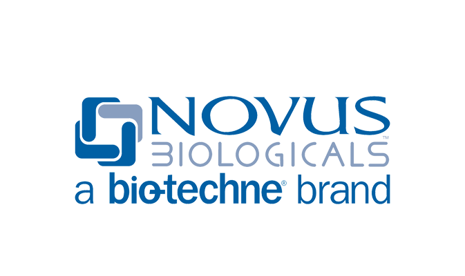 novus logo 