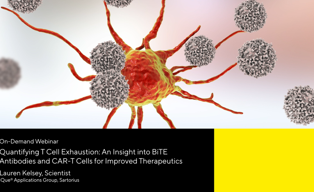 Quantifying T Cell Exhaustion: An Insight into BiTE Antibodies and CAR-T Cells for Improved Therapeutics
