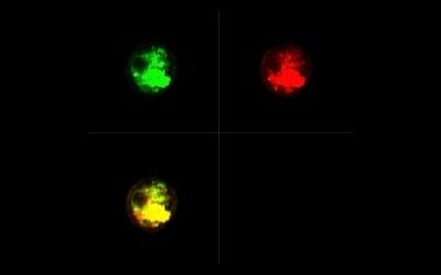 Newsletter: Imaging Flow Cytometry