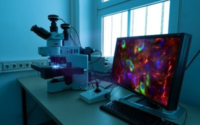 Newsletter: Designing a Fluorescence Microscopy Experiment