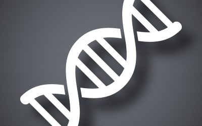 Newsletter: CRISPR as an Imaging Tool