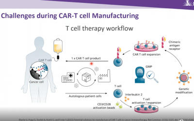 A Serum-Free, Chemically-Defined Workflow for T Cell Therapy