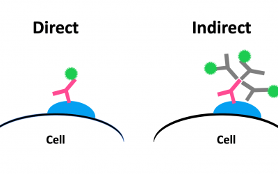 Direct vs Indirect Detection in Microscopy