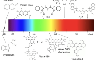 Families of Different Fluorophore Chemistry