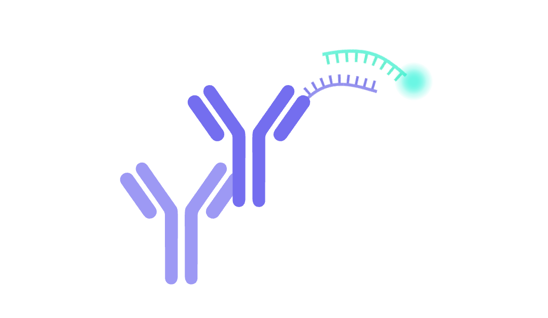 Illustration of DNA-PAINT Technique