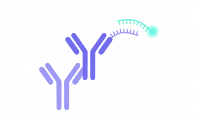 DNA-PAINT and Related Methods