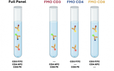 Flow Cytometry Controls