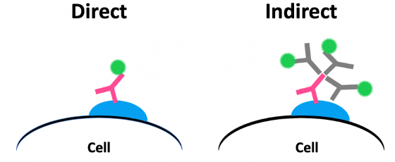 Figure 1. Direct vs. indirect detection.