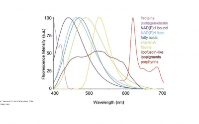 Autofluorescence in Flow Cytometry