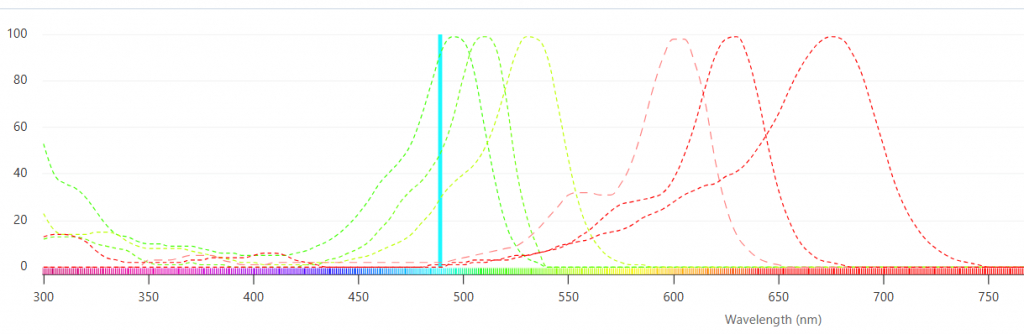 Figure 1. A number of fluorescent probes can be excited with a single laser (purple line)