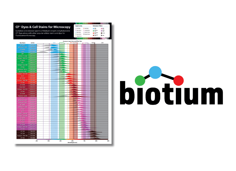 Poster: CF® Dyes & Cell Stains for Microscopy