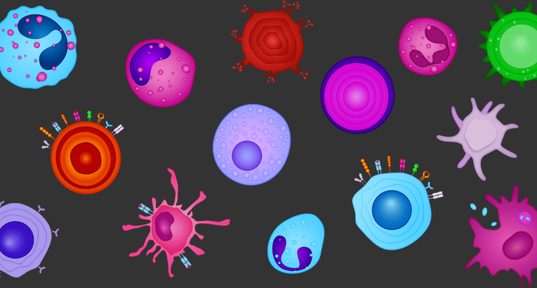 Definitive Phenotypes in Flow Cytometry