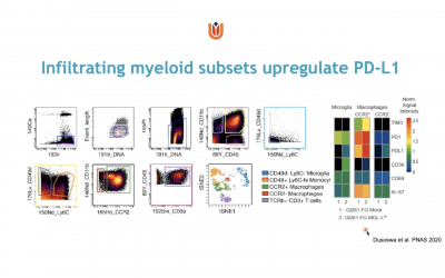 Reaching New Frontiers in Tissue Immunophenotyping with the EVOS S1000 Spatial Imaging System