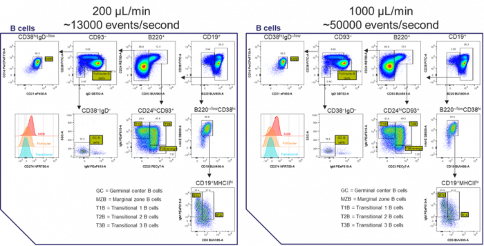 Figure 1. Flow cytometric analysis of mouse spleen demonstrates consistent population resolution across flow rates. 