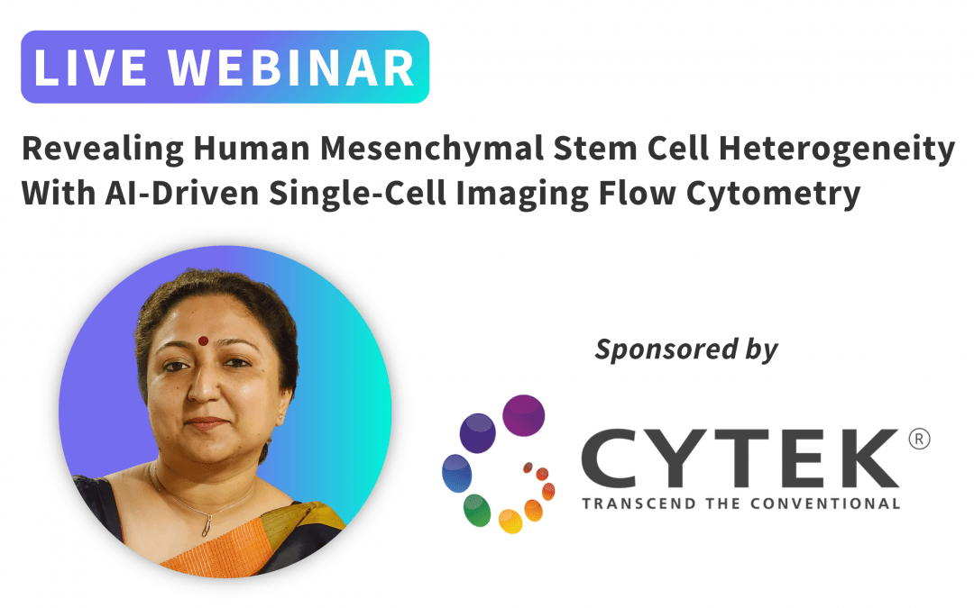Revealing Human Mesenchymal Stem Cell Heterogeneity With AI-Driven Single-Cell Imaging Flow Cytometry