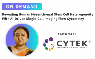Revealing Human Mesenchymal Stem Cell Heterogeneity With AI-Driven Single-Cell Imaging Flow Cytometry