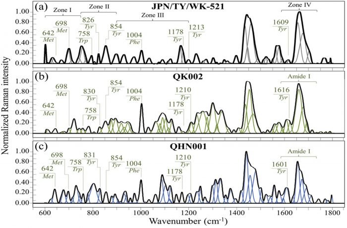 Figure 2. Raman spectra of COVID variants in the frequency interval 600–1800 cm−1