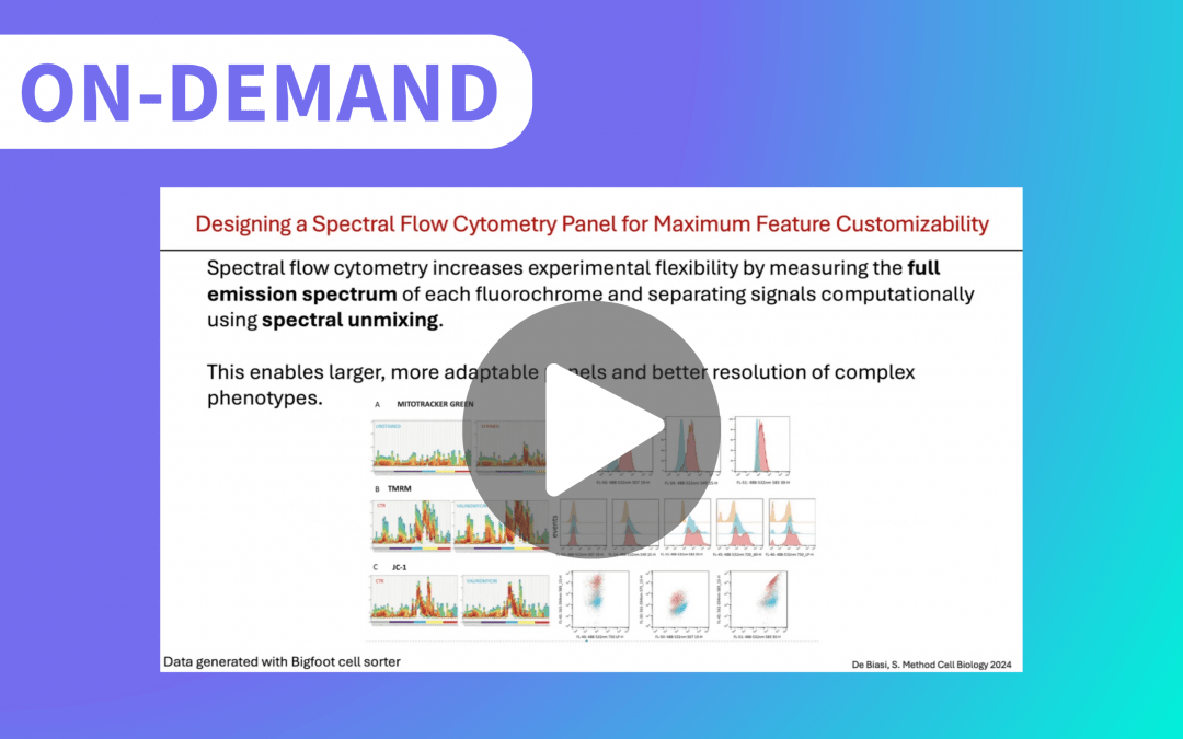Speed Meets Spectrum: A Practical Flow Cytometry Advantage for Translational Immunology