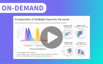 Development of an Optimized Spectral Flow Cytometry Panel for Tissue Immunophenotyping