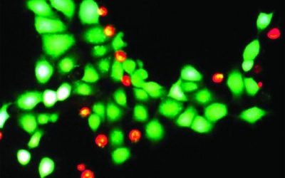 Flow Cytometry Viability Dyes: How to Measure Cell Health