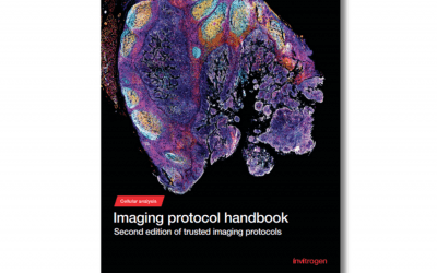 Imaging Protocol Handbook