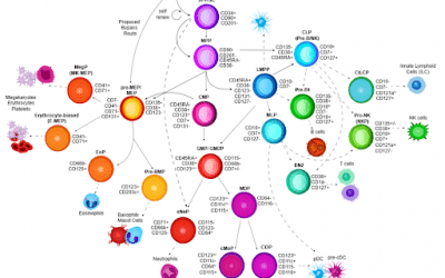 Cell Types and SOULCAP