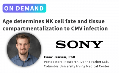 Age determines NK cell fate and tissue compartmentalization to CMV infection