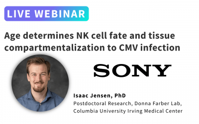 Age determines NK cell fate and tissue compartmentalization to CMV infection