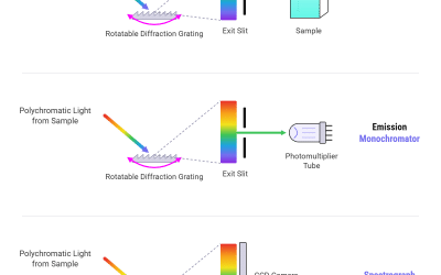 Strategies for Spectral Matching