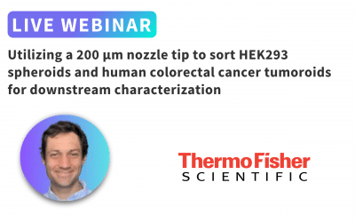 Utilizing a 200 µm nozzle tip to sort HEK293 spheroids and human colorectal cancer tumoroids for downstream characterization